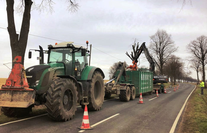 Baumfällen Abtransport